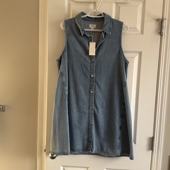 NWT - Z Supply - Light Denim Mini Dress - Large - Picture 3 of 3